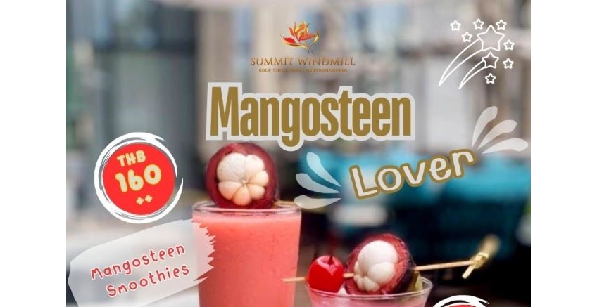 Mangosteen Lover